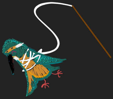 Kingfisher Fishing After Dark